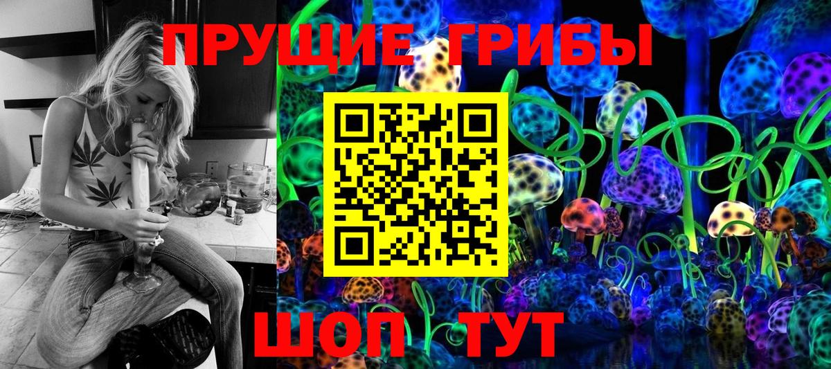 Галлюциногенные грибы Psilocybine cubensis Черногорск