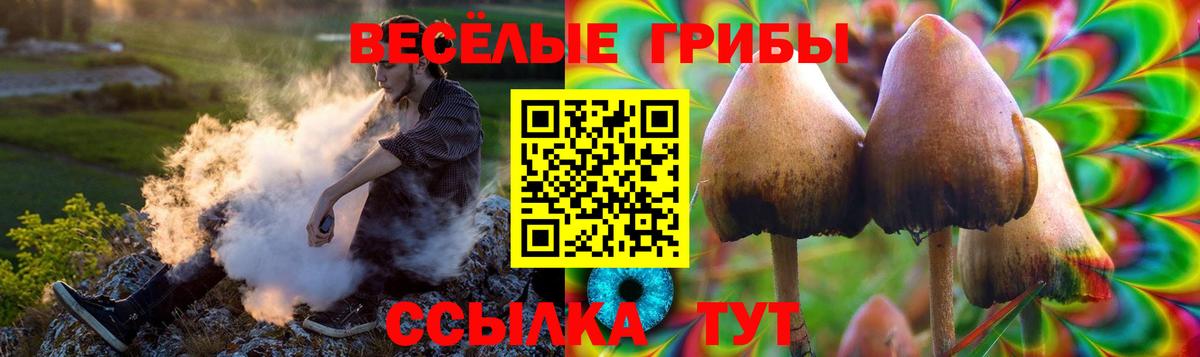 Псилоцибиновые грибы MAGIC MUSHROOMS  Вход с VPN  Черногорск 